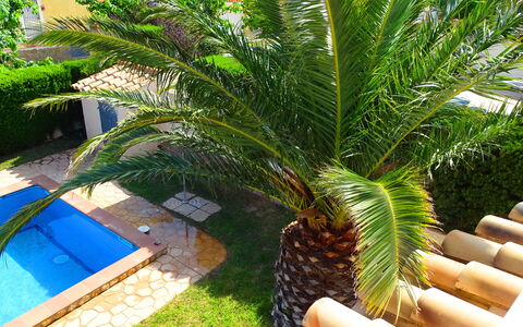 Villa Marisol: Pianta, Albero, Impianto Terrestre, Arecales, Frutta, Erba, Palma, Mobili Da Esterno, Sempreverde, Shade