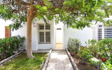 Bungalow Miami Beach Aj06: Pianta, Costruzione, Proprietà, Foglia, Porta, Finestra, Manto Stradale, Botanica, Albero, Architettura
