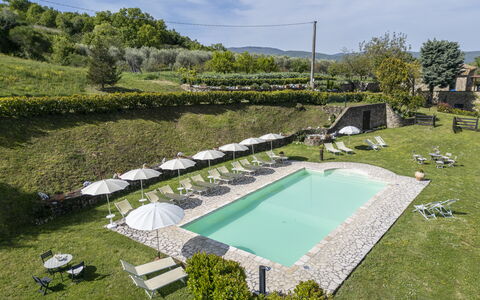 Podere Marcigliana - Radicondoli: Nube, Pianta, Acqua, Cielo, Piscina, Albero, Erba, Mobili Da Esterno, Urban Design, Paesaggio