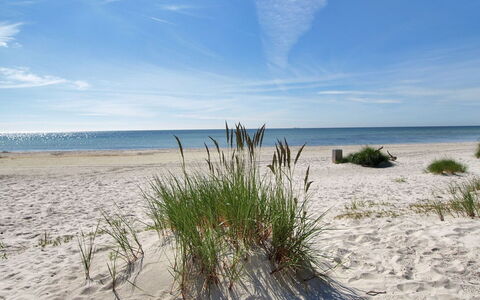 Windelgard - 140M from the Sea: Legna, Tetto, Architettura, Casa, Casa, Villetta, Raccordo, Latifoglie, Pendenza, Estate