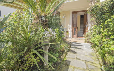 La Bouganville, Forte Dei Marmi, Private Garden, W: Arbusto, Giardino, Vaso Di Fiori, Landscaping, Pianta Della Casa, Cortile, Flagstone, Backyard, Cortile