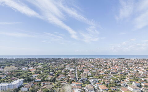La Bouganville, Forte Dei Marmi, Private Garden, W: Giorno, Zona Residenziale, Orizzonte, Città, Zona Urbana, Quartiere, Area Metropolitana, Sobborgo, Mare, Paesaggio Urbano