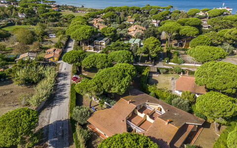 Argentario Giannella Apartment- Orbetello, Toscana: Pianta, Acqua, Vegetazione, Albero, Lotto, Urban Design, Biome, Erba, Paesaggio Naturale, Quartiere