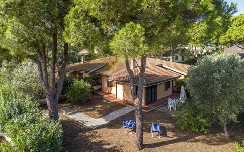 Giannella Apartment - Orbetello, Toscana: Pianta, Finestra, Costruzione, Albero, Casa, Legna, Villetta, Paesaggio Naturale, Tempo Libero, Paesaggio