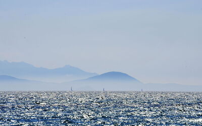 Follonica 100