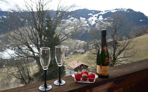 Chalet Uf Duft: Cielo, Bottiglia, Montagna, Finestra, Tavolo, Neve, Vino, Bicchieri, Tavola, Albero