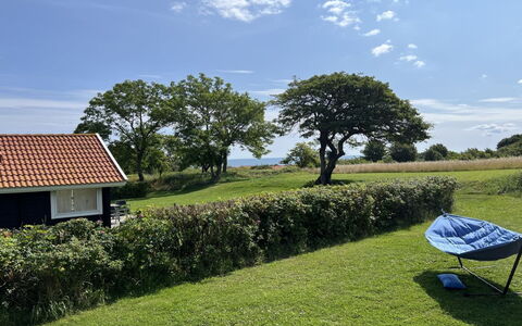 Marlies - 300M from the Sea: Erba, Pascolo, Paesaggio, Ecoregione, Plain, Comunita 'Impianto, Lotto, Mobili Da Esterno, Prateria, Shrubland