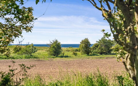 Benthe - 200M from the Sea: Tetto, Casa, Casa, Villetta, Porta, Raccordo, Deck, Portico, Plank, Latifoglie