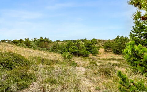 Vemund - 300M from the Sea: Erba, Pascolo, Lotto, Villetta, Area Rurale, Prato, Edifici Giardino, Giardino, Capannone