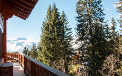 Chalet Tetras