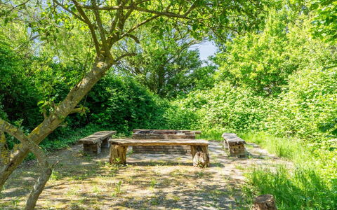 Eliane - 1.8Km from the Sea: Legna, Tetto, Architettura, Casa, Casa, Villetta, Raccordo, Latifoglie, Pendenza, Estate