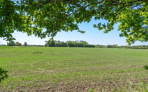 Eliane - 1.8Km from the Sea: Legna, Tetto, Architettura, Casa, Casa, Villetta, Raccordo, Latifoglie, Pendenza, Estate
