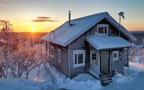 Napakettu: Legna, Villetta, Log Cabin, Foresta, Capannone, Edifici Giardino, Larice, Woodland, Color Legno