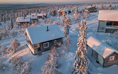 Napakettu: Legna, Villetta, Log Cabin, Foresta, Capannone, Edifici Giardino, Larice, Woodland, Color Legno