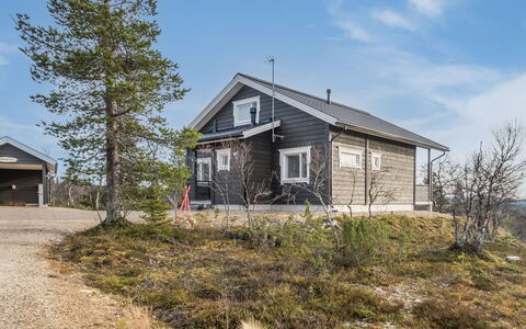 Napakettu: Legna, Villetta, Log Cabin, Foresta, Capannone, Edifici Giardino, Larice, Woodland, Color Legno