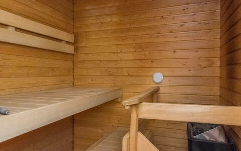 Urupää D 17: Legna, Sauna, Pavimentazione, Pavimento, Color Legno, Latifoglie, Soffitto, Plank, Design, Compensato