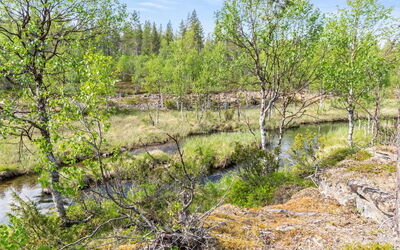 Oton Kämppä