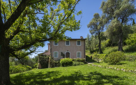 La Casa Dei Limoni, Camaiore, Pet Friendly, Wifi: Albero, Erba, Foglia, Natura, Vegetazione, Arbusto, Casa, Area Rurale, Paesaggio