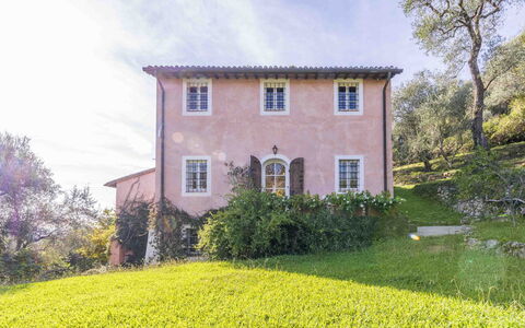 La Casa Dei Limoni, Camaiore, Pet Friendly, Wifi: Vegetazione, Arbusto, Casa, Area Rurale, Comunita 'Impianto, Villetta, Casa, Primavera, Groundcover, Giardino