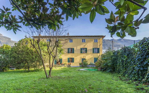 Casale Il Farro - Camaiore, Toscana: Pianta, Cielo, Proprietà, Finestra, Foglia, Verde, Natura, Botanica, Lotto, Vegetazione