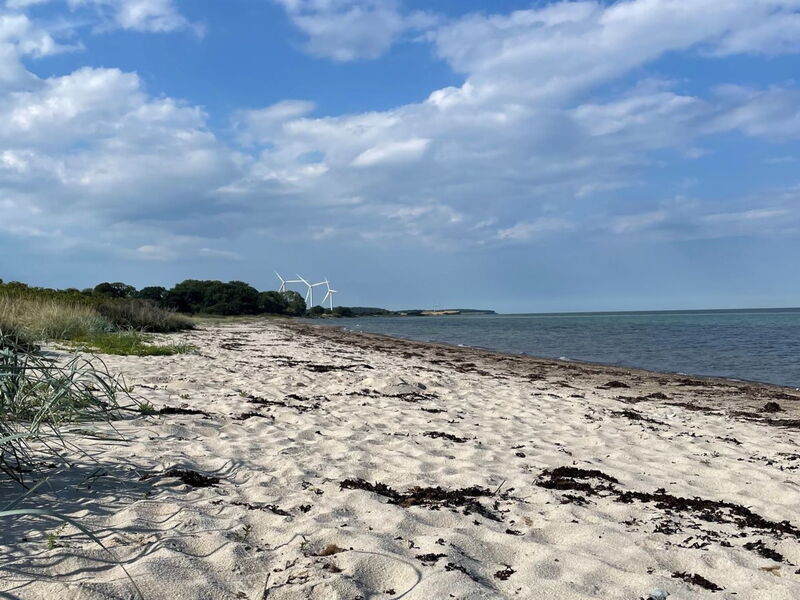 Emmalina - 1.3Km from the Sea
