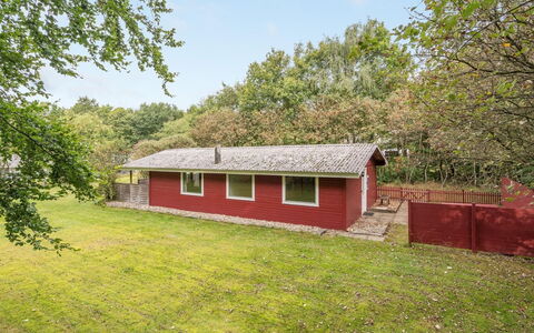 Aage: Erba, Legna, Area Rurale, Arbusto, Villetta, Tetto, Plain, Lotto, Casa, Groundcover