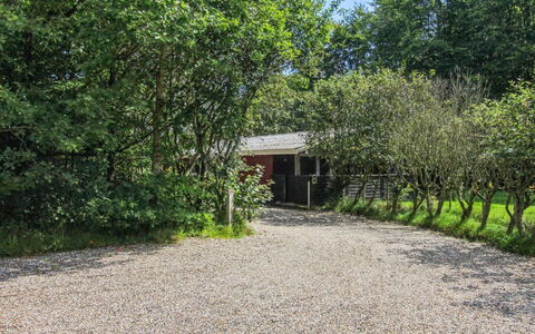Aage: Erba, Legna, Area Rurale, Arbusto, Villetta, Tetto, Plain, Lotto, Casa, Groundcover