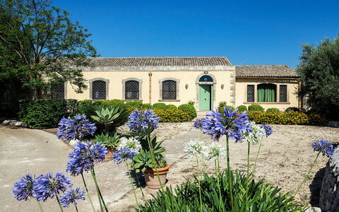 Casa Colore - Siracusa, Sicilia: Fiore, Pianta, Cielo, Costruzione, Proprietà, Finestra, Botanica, Azzurro, Casa, Albero