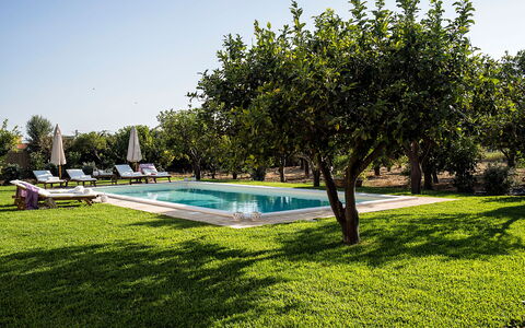 Casa Colore - Siracusa, Sicilia: Pianta, Cielo, Acqua, Costruzione, Albero, Piscina, Shade, Paesaggio Naturale, Tempo Libero, Erba