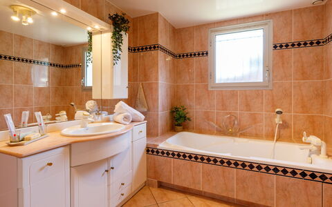 L'Oiseau Bleu: Bagno, Lavandino Del Bagno, Interior Design, Lavello, Idraulico Fixture, Controsoffitto, Pavimentazione, Vasca Da Bagno, Pavimento, Specchio