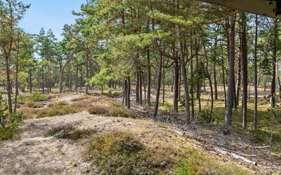 Solfred - 200M from the Sea