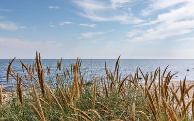 Solfred - 200M from the Sea