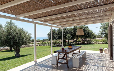 Isolina Verde - Scicli, Sicilia: Pianta, Proprietà, Tavolo, Shade, Tavolo Esterno, Mobili Da Esterno, Interior Design, Architettura, Albero, Sedia