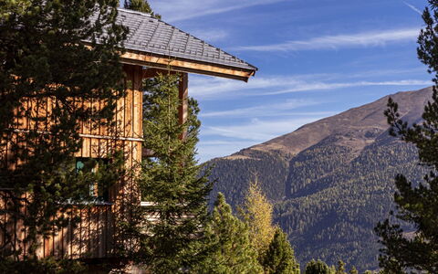 Alloggio:&nbsp;Superior # 6 mit Sauna & Hot Tub 160.6