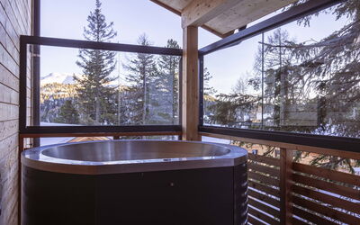 Alloggio:&nbsp;Superior # 9 mit Sauna & Hot Tub 160.9