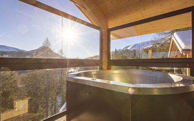 Alloggio:&nbsp;Superior # 3 mit Sauna & Hot Tub 160.12
