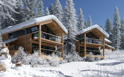 Alloggio:&nbsp;Superior # 28 mit Sauna & Hot Tub 160.17