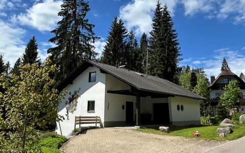 Schluchsee 650: Nube, Pianta, Cielo, Costruzione, Albero, Casa, Finestra, Larice, Lotto, Villetta