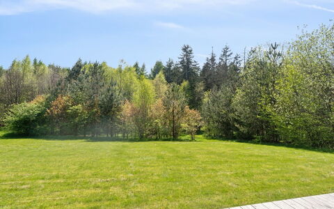 Tian: Verde, Albero, Erba, Arbusto, Lotto, Plain, Giardino, Prato, Primavera