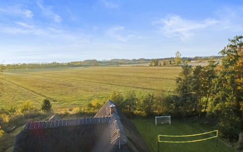 Krok - 1.2Km from the Sea: Erba, Pascolo, Plain, Paesaggio, Campo, Ecoregione, Lotto, Area Rurale, Prateria