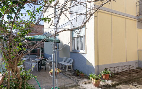 Angela: Pianta, Finestra, Costruzione, Vaso Di Fiori, Urban Design, Manto Stradale, Albero, Zona Residenziale, Immobiliare, Facciata