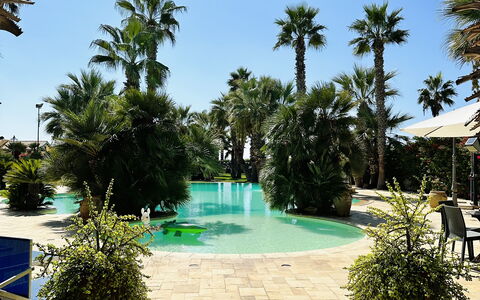Villa Rosarno: Pianta, Acqua, Cielo, Vaso Di Fiori, Albero, Azzurro, Piscina, Arecales, Vegetazione, Tempo Libero