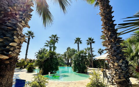 Villa Rosarno: Pianta, Cielo, Acqua, Natura, Azzurro, Albero, Arecales, Vegetazione, Tempo Libero, Woody Impianto