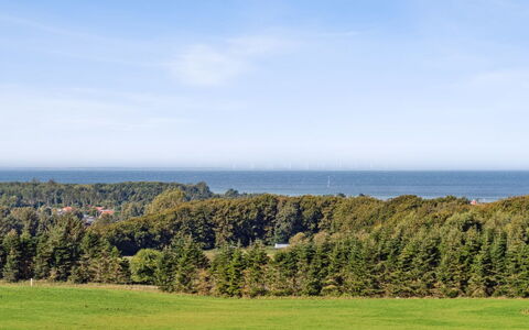 Ann - 1.3Km from the Sea: Cielo, Blu, Giorno, Verde, Erba, Orizzonte, Vegetazione, Pascolo, Estate, Lotto