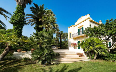 Casa Fiore - Salemi, Sicilia: Cielo, Pianta, Costruzione, Albero, Finestra, Arecales, Zona Residenziale, Paesaggio, Facciata, Urban Design