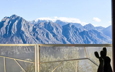Alloggio:&nbsp;Xino Terrace View 100.2