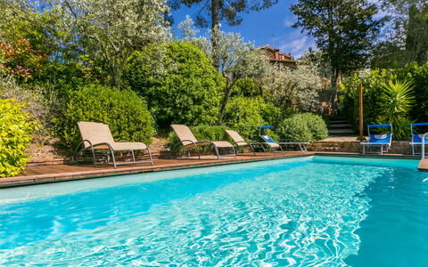 Sole: Acqua, Pianta, Proprietà, Mobilia, Piscina, Azzurro, Blu, Albero, Mobili Da Esterno, Shade