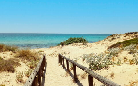 Villa Trullo - Torricella, Puglia: Cielo, Acqua, Pianta, Comunita 'Impianto, Azzurro, Recinzione, Paesaggio Naturale, Albero, Costiera E Morfologie Oceanic, Spiaggia