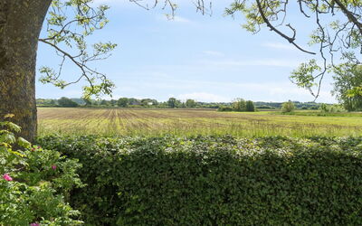 Adrienne - 6.4Km from the Sea