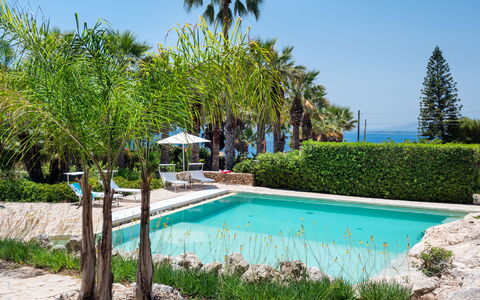 Villa Diamante - Siracusa, Sicilia: Acqua, Pianta, Cielo, Proprietà, Botanica, Azzurro, Natura, Piscina, Paesaggio Naturale, Vegetazione